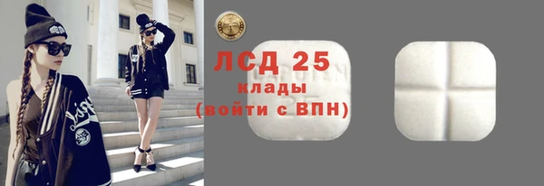 ГАЛЛЮЦИНОГЕННЫЕ ГРИБЫ Заволжье