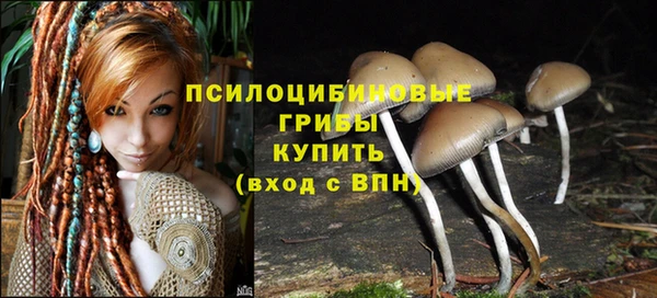 ГАЛЛЮЦИНОГЕННЫЕ ГРИБЫ Заволжье