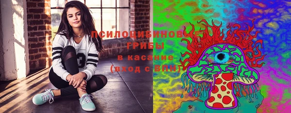 скорость Заводоуковск