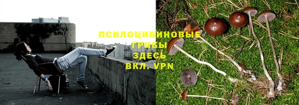 MESCALINE Заволжск